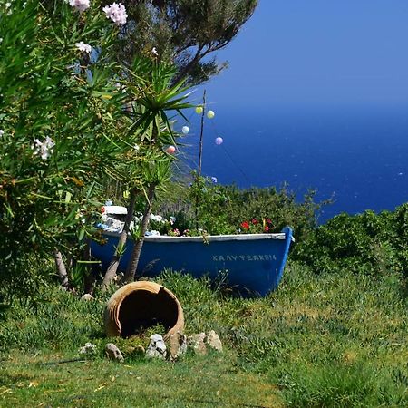 Panoramma Hause, Kampos Evdilou,Ikaria Apartment Evdilos  Ngoại thất bức ảnh